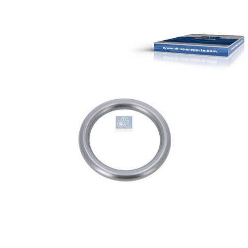 DT Spare Parts Dichtring 4.20443