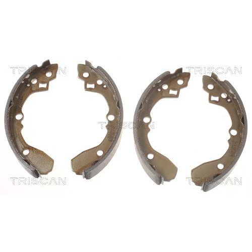 TRISCAN Bremsbackensatz 8100 18012