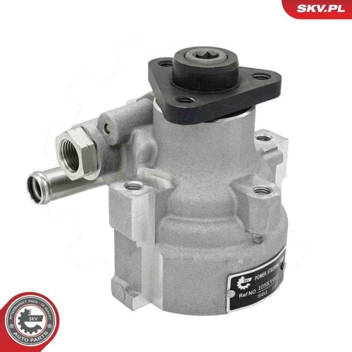 ESEN SKV Hydraulikpumpe, Lenkung 10SKV003