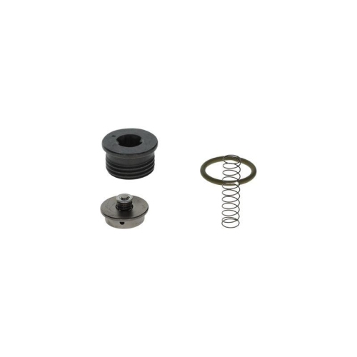BOSCH Reparatursatz, Common-Rail-System F 00N 201 001