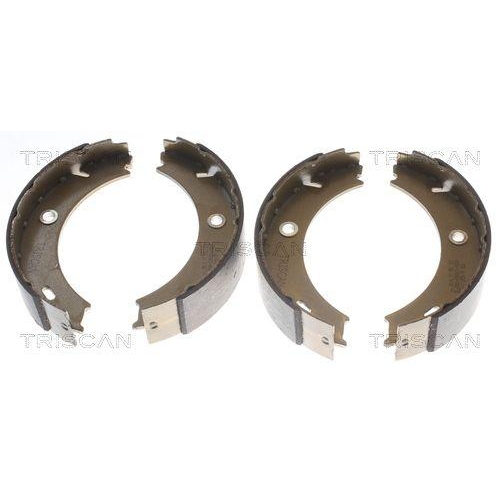 TRISCAN Bremsbackensatz, Feststellbremse 8100 23025