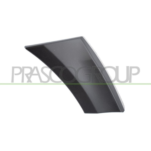 PRASCO Zier-/Schutzleiste, Kotfl&uuml;gel ME9191581