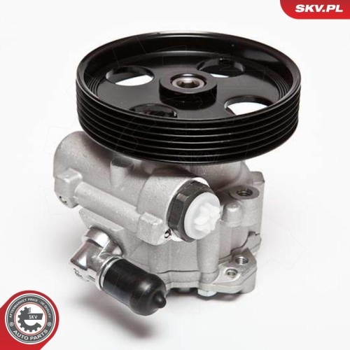 ESEN SKV Hydraulikpumpe, Lenkung 10SKV004