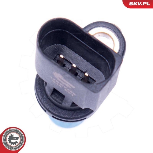 ESEN SKV Lenkwinkelsensor 17SKV485