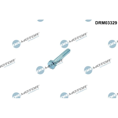 Dr.Motor Automotive Schraube, Einspritzd&uuml;senhalter DRM03329