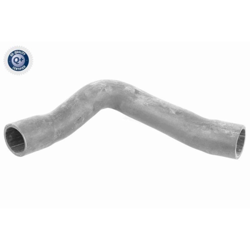 VAICO Ladeluftschlauch Q+, Erstausrüsterqualität V10-2909