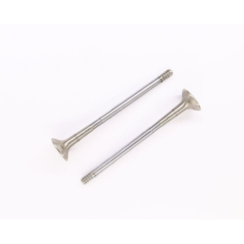 CORTECO Auslassventil 554003B