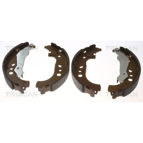 TRISCAN Bremsbackensatz 8100 29531