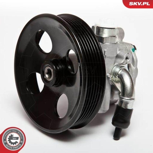 ESEN SKV Hydraulikpumpe, Lenkung 10SKV006