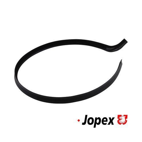 JP GROUP Dichtung, Seitenscheibe JOPEX 1186001680