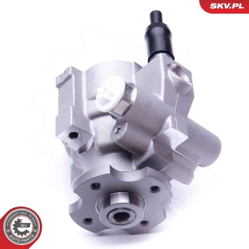 ESEN SKV Hydraulikpumpe, Lenkung 10SKV008