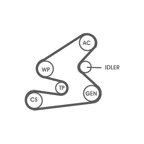CONTINENTAL CTAM Keilrippenriemensatz 6PK1600D1