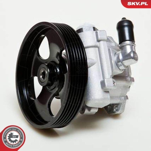 ESEN SKV Hydraulikpumpe, Lenkung 10SKV009
