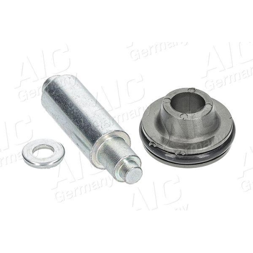 AIC Rollenf&uuml;hrung, Schiebet&uuml;r Original AIC Quality 73520