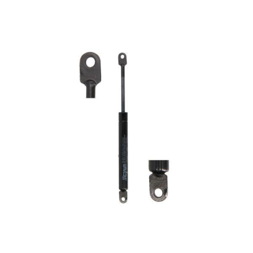 Magnum Technology Gasfeder MGS062