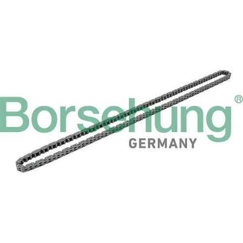 Borsehung Steuerkette