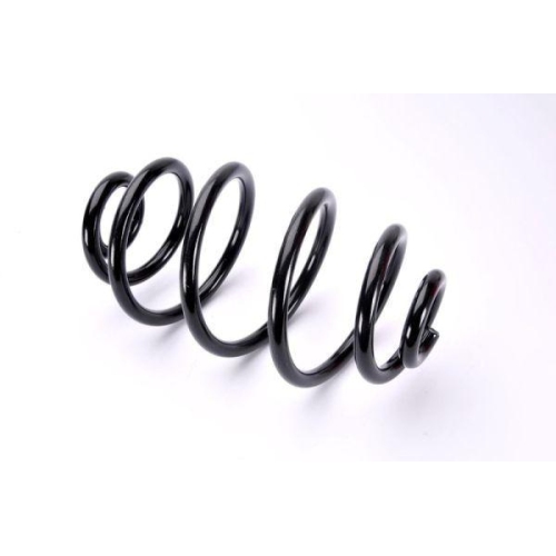 Magnum Technology Fahrwerksfeder SW065MT