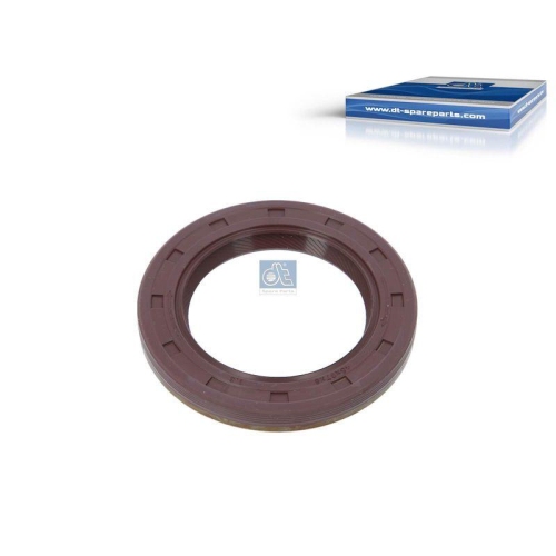 DT Spare Parts Dichtung, Steuergehäuse 4.20648
