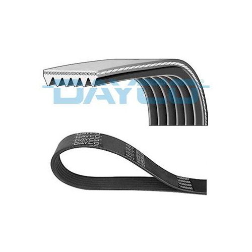 DAYCO Keilrippenriemen 6PK2200
