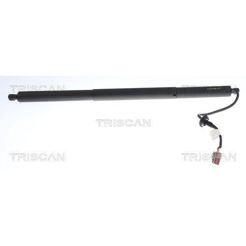 TRISCAN Gasfeder, Koffer-/Laderaum 8710 81209