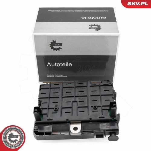 ESEN SKV Steuerger&auml;t, Motormanagement 96SKV321