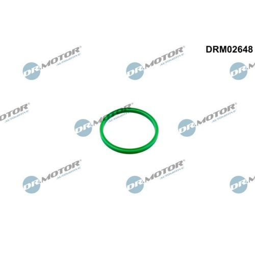 Dr.Motor Automotive Dichtring, Ladeluftschlauch DRM02648