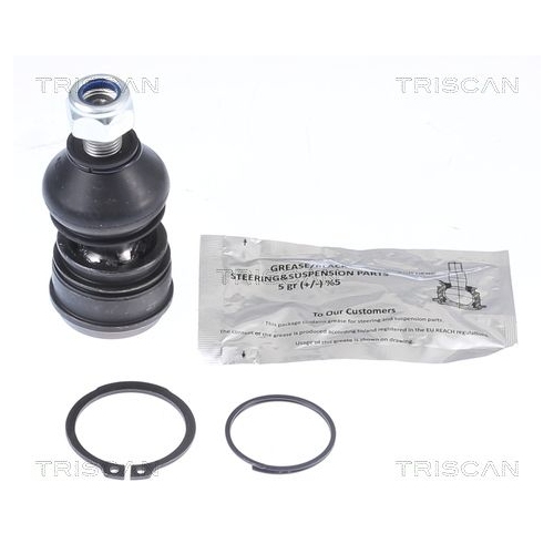 TRISCAN Trag-/F&uuml;hrungsgelenk 8500 42561
