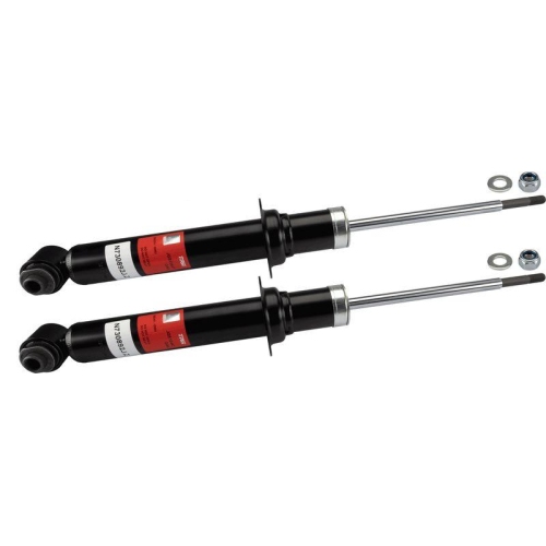 TRW Stoßdämpfer TRW TWIN
