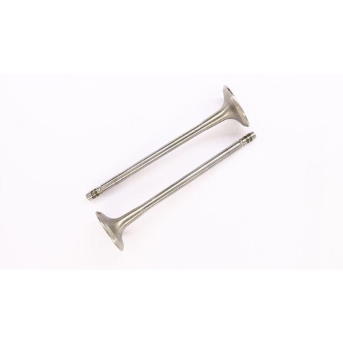 CORTECO Auslassventil 554011B