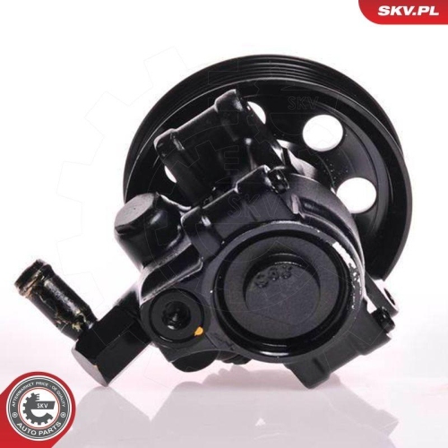 ESEN SKV Hydraulikpumpe, Lenkung 10SKV019