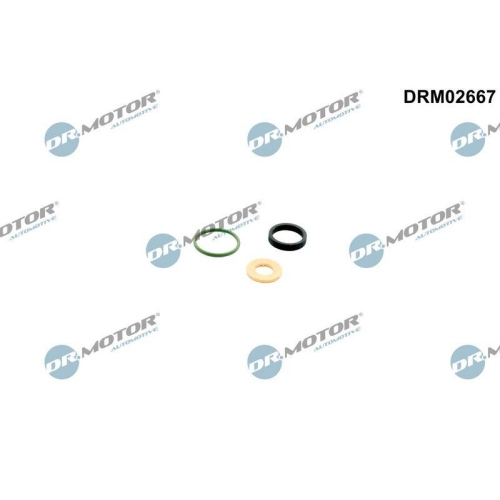 Dr.Motor Automotive Dichtungssatz, Einspritzd&uuml;se DRM02667