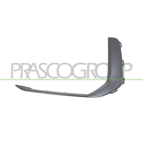 PRASCO Zier-/Schutzleiste, Sto&szlig;f&auml;nger AD0441224