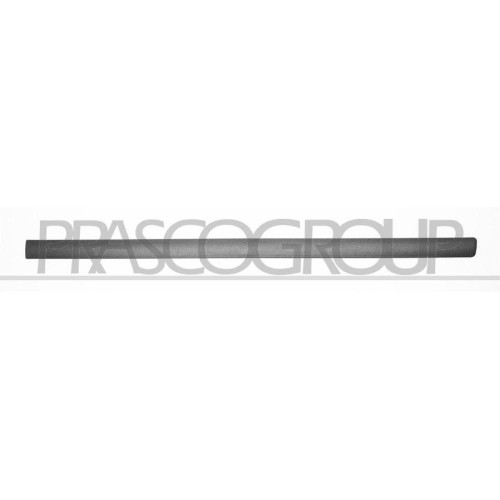 PRASCO Zier-/Schutzleiste, T&uuml;r SK0241403