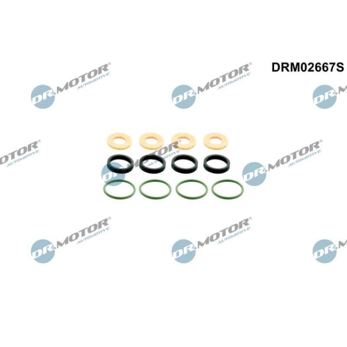 Dr.Motor Automotive Dichtungssatz, Einspritzd&uuml;se DRM02667S