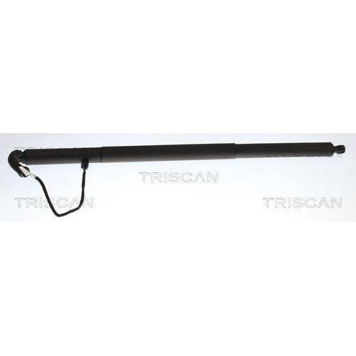 TRISCAN Gasfeder, Koffer-/Laderaum 8710 29334