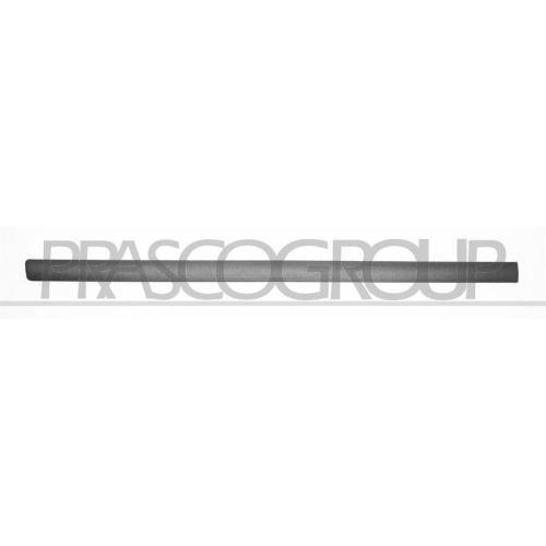 PRASCO Zier-/Schutzleiste, T&uuml;r SK0241404