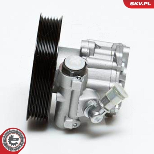 ESEN SKV Hydraulikpumpe, Lenkung 10SKV022