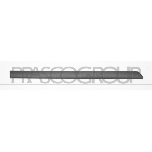 PRASCO Zier-/Schutzleiste, T&uuml;r SK0241453