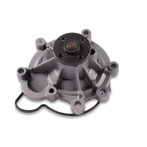 GK Wasserpumpe, Motorkühlung 980419