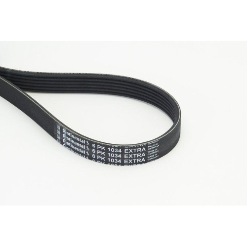 CONTINENTAL CTAM Keilrippenriemen 6PK1034 EXTRA