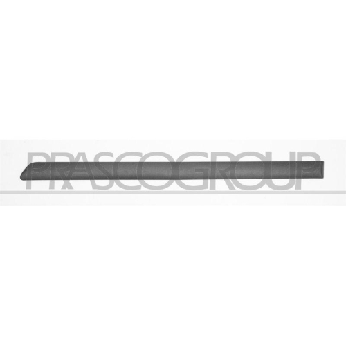 PRASCO Zier-/Schutzleiste, T&uuml;r SK0241454