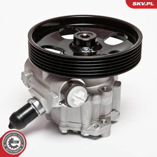 ESEN SKV Hydraulikpumpe, Lenkung 10SKV023
