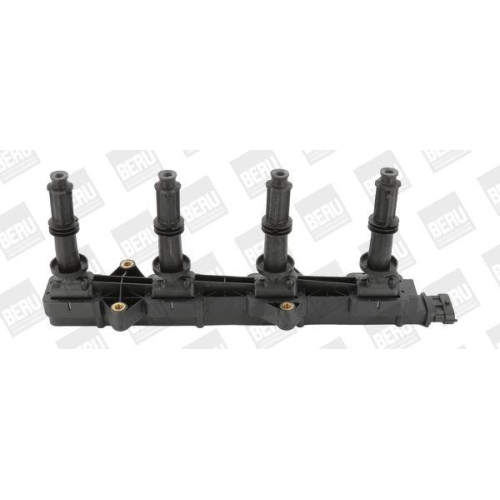 BorgWarner (BERU) Z&uuml;ndspule ZSE149