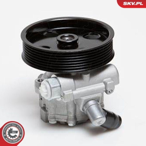 ESEN SKV Hydraulikpumpe, Lenkung 10SKV024