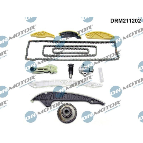 Dr.Motor Automotive Steuerkettensatz DRM211202