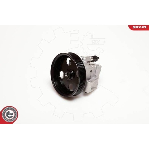 ESEN SKV Hydraulikpumpe, Lenkung