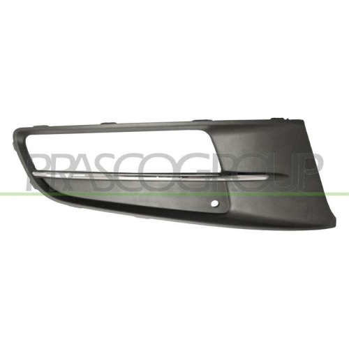 PRASCO L&uuml;ftungsgitter, Sto&szlig;f&auml;nger VG1012133