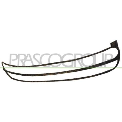 PRASCO Rahmen, K&uuml;hlergitter VG4202305