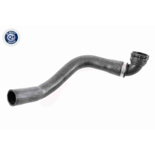 VAICO K&uuml;hlerschlauch Q+, Erstausr&uuml;sterqualit&auml;t V48-0142