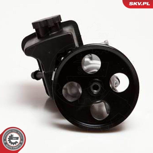 ESEN SKV Hydraulikpumpe, Lenkung 10SKV029